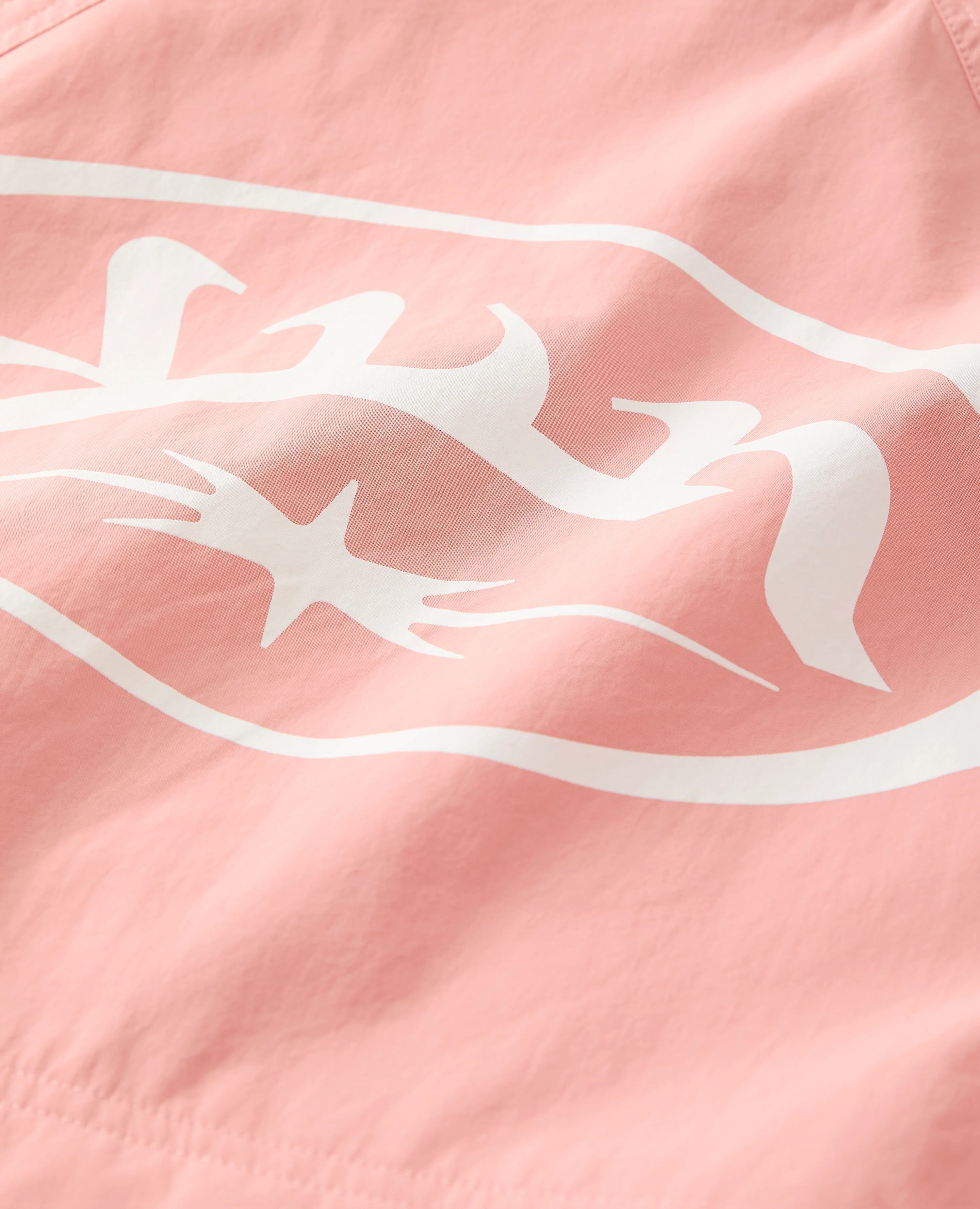 PINK STORMCHASER - Image 7